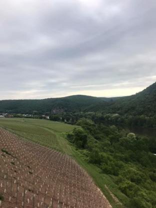 61347281_2089184728046328_1432076361459040256_n