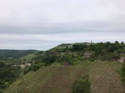 61898286_2089216171376517_2196469330558844928_n