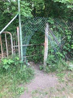 98179476_2357209781243820_5177137017204506624_o