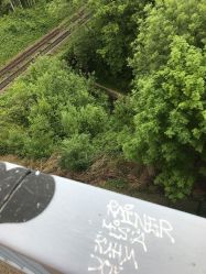 98184495_2357209741243824_2090238064726114304_o