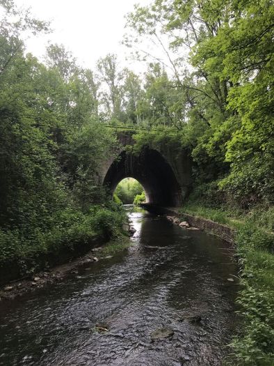 98189567_2357209791243819_778393604707057664_o