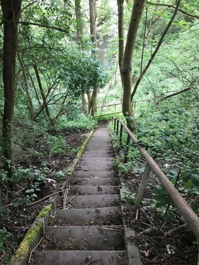 98460258_2357209807910484_489535957171699712_o